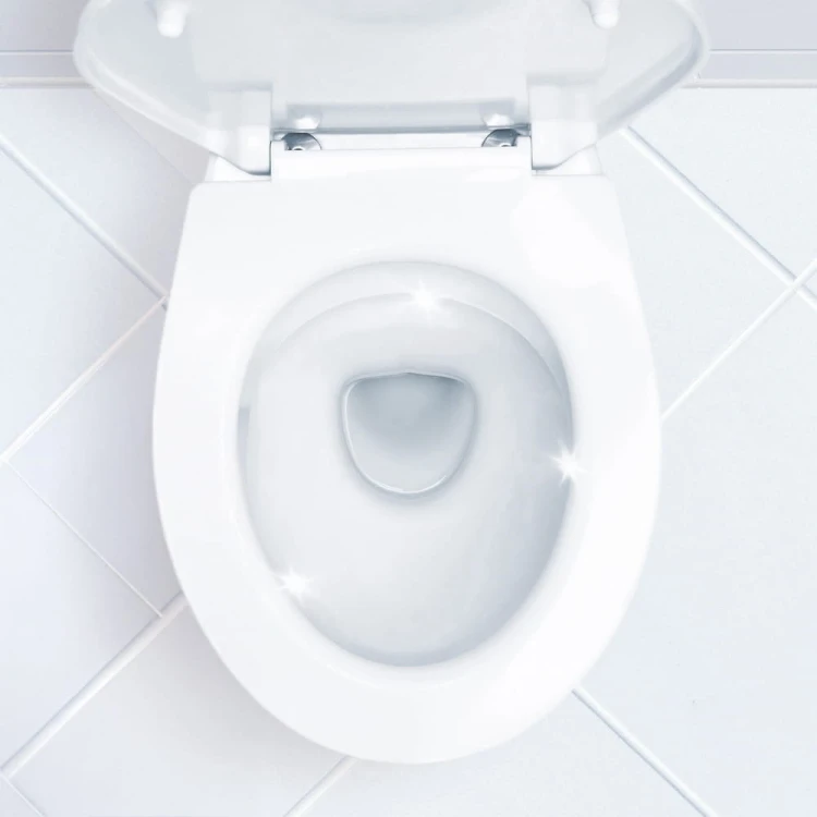 5.jpeg