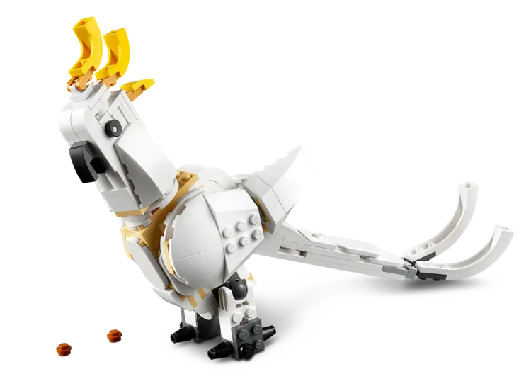 3.png