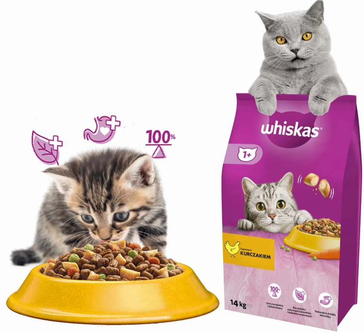 1.jpeg