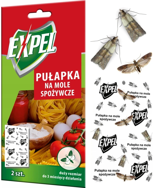 1.jpeg