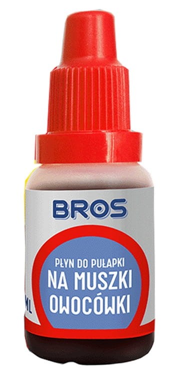 3.jpeg