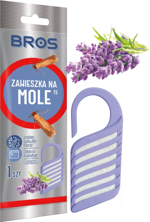2.jpeg
