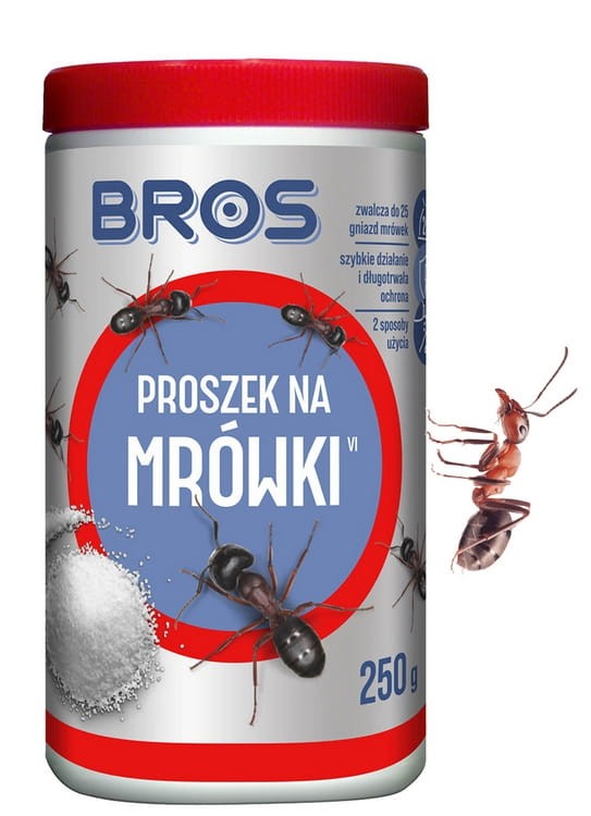 2.jpeg