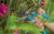 4.jpeg