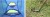 5.jpeg
