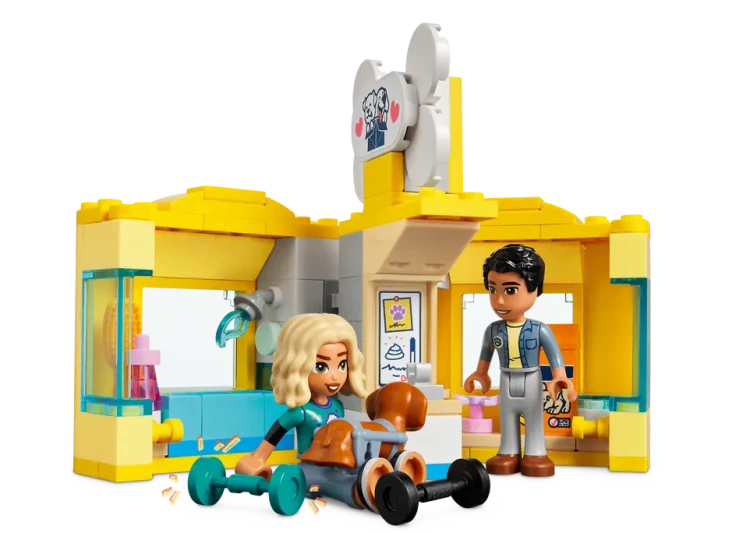 5.png