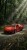 LEGO Ferrari F40 Gra (4).jpeg