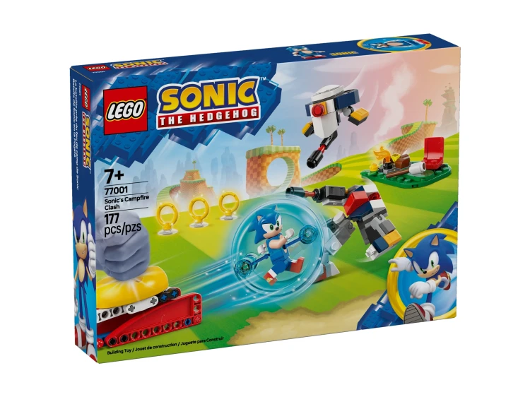sonic-i-biwakowa-bitwa.jpg