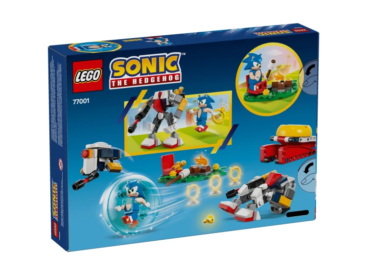 sonic-i-biwakowa-bitwa1.jpg