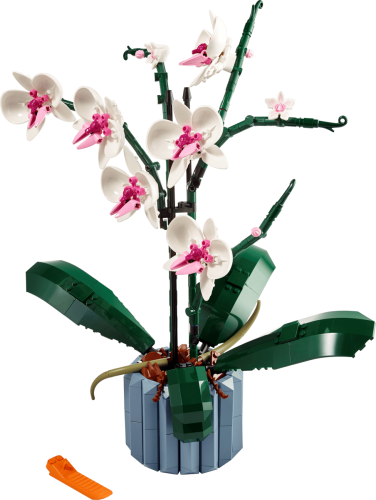 10311-orchidea.png
