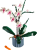 10311-orchidea.png