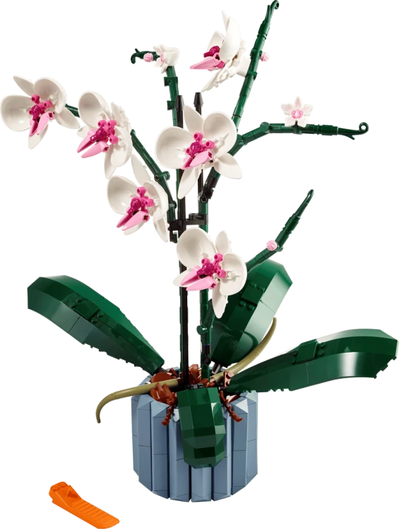 10311-orchidea.png