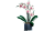lego.png