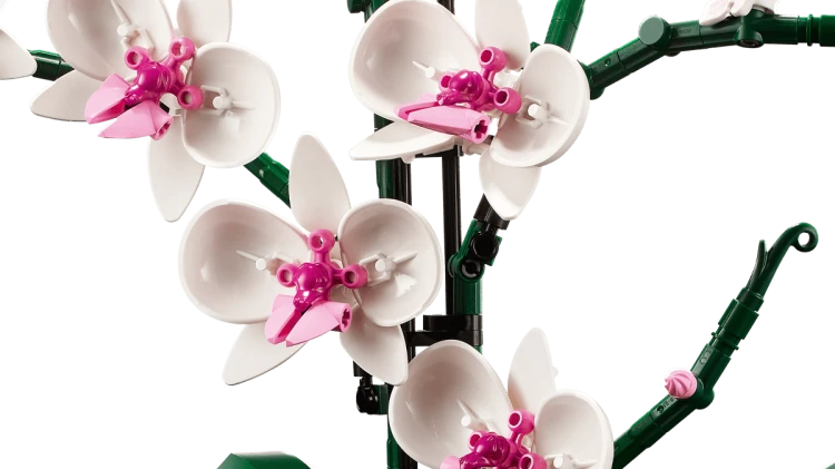 orchidea klocki.png